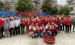 麻豆粽,探寻传统美食的传承与创新