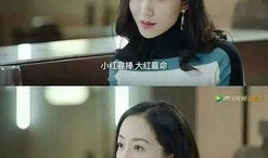 吃瓜系统小说娱乐圈观众,吃瓜群众眼中的明星秘闻